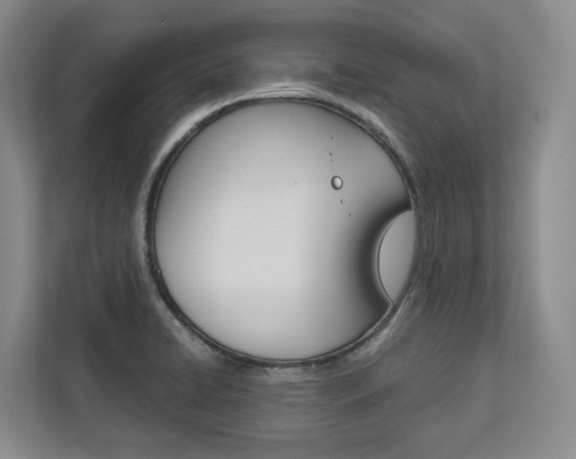 X0000113171422200909040925