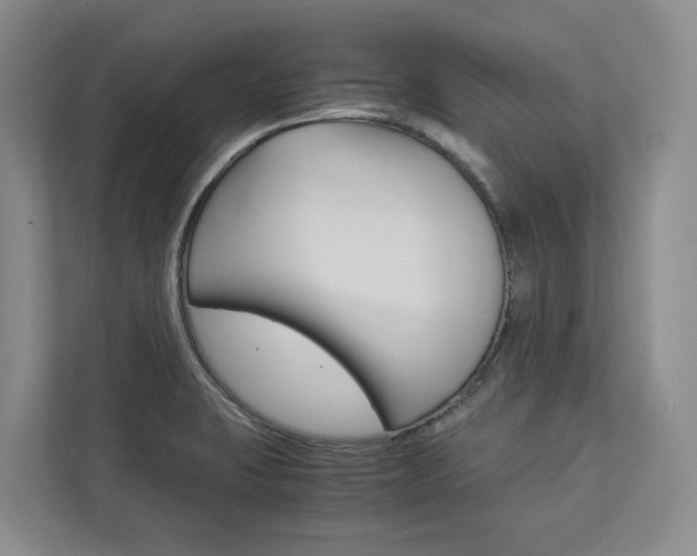 X0000113171423200909040925