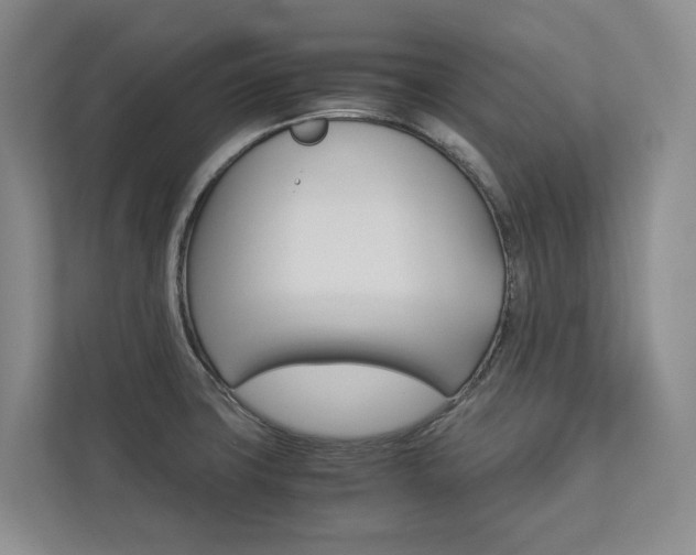 X0000113171427200909040925