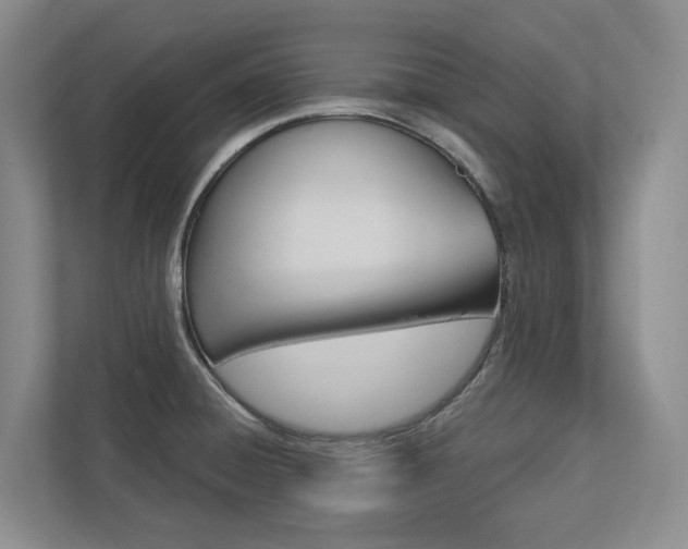 X0000113171428200909040925