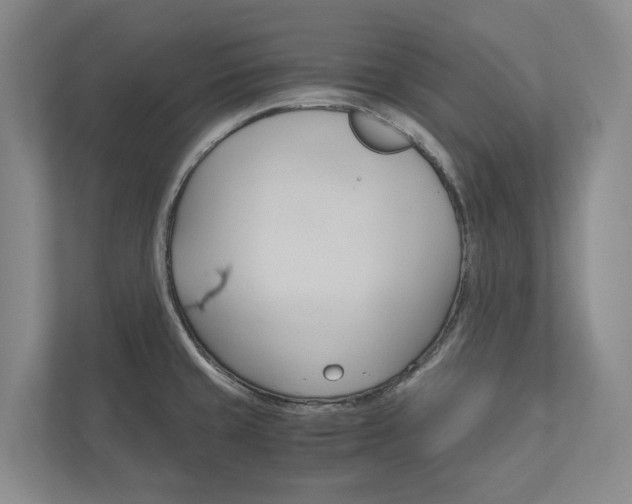 X0000113171429200909040925