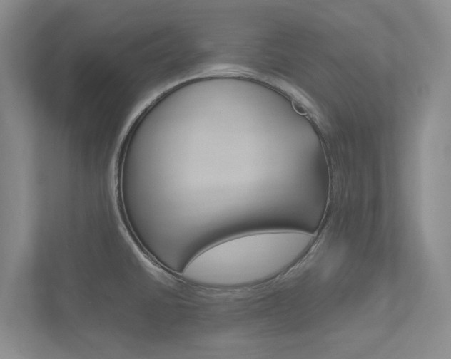 X0000113171430200909040925