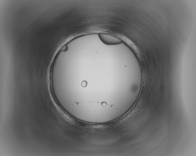 X0000113171431200909040925
