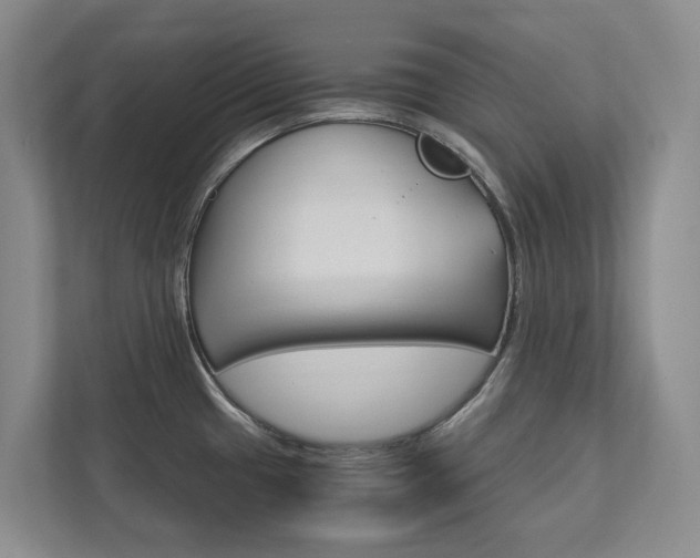 X0000113171433200909040925