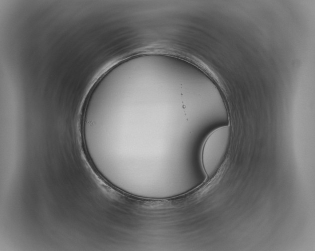 X0000113171434200909040925