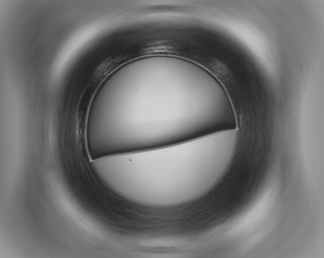 X0000113171438200909040925