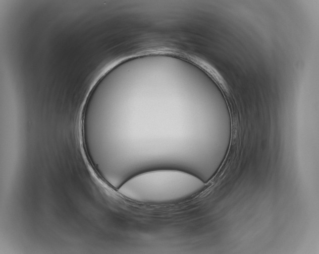 X0000113171439200909040925