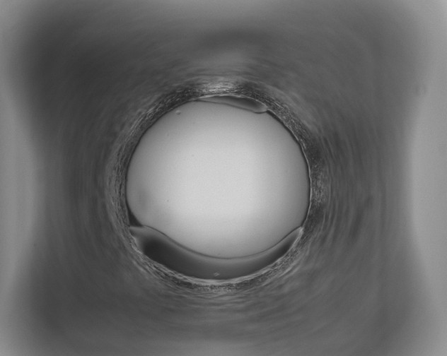 X0000113171441200909040924