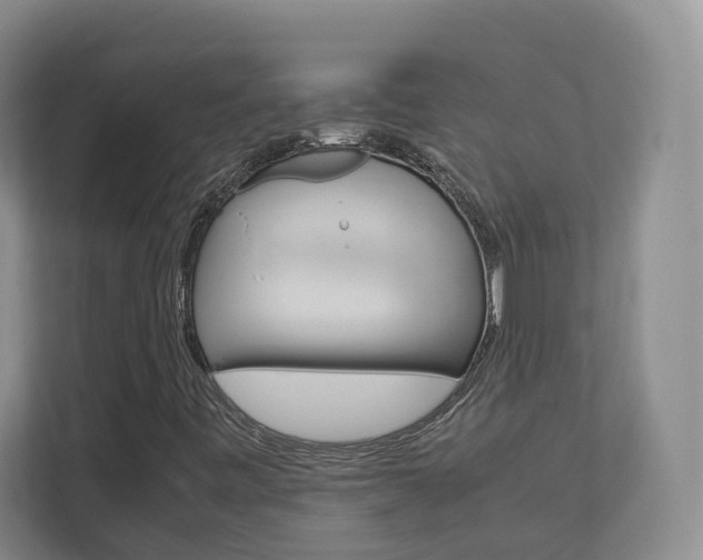 X0000113171443200909040924