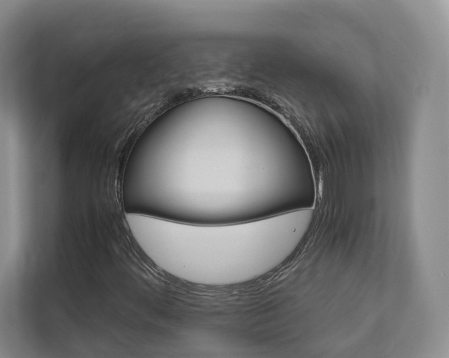 X0000113171444200909040924