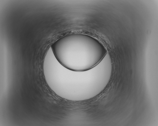 X0000113171445200909040924