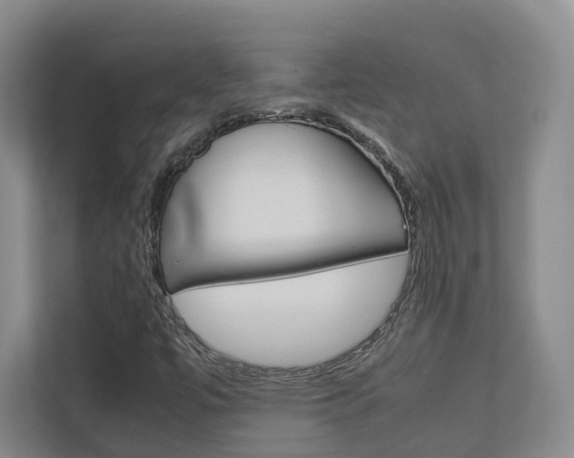 X0000113171447200909040924
