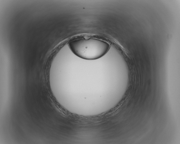 X0000113171448200909040924