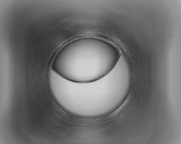 X0000113171449200909040924
