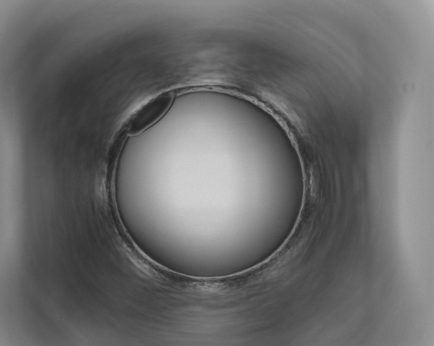 X0000113171452200909040924