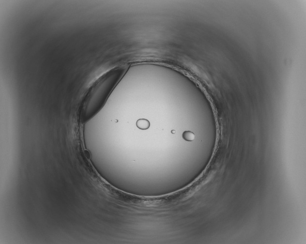 X0000113171453200909040924