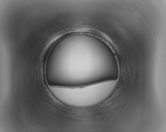 X0000113171456200909040924