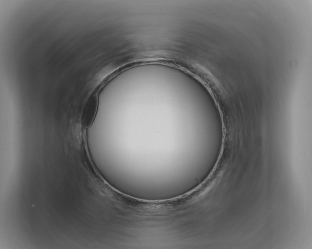 X0000113171457200909040924