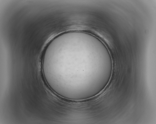 X0000113171459200909040924