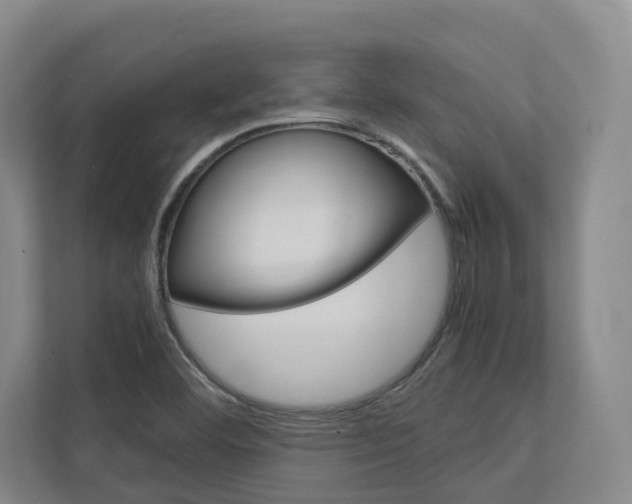 X0000113171460200909040924