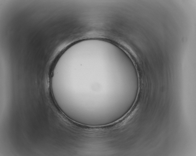X0000113171461200909040924