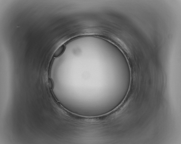 X0000113171465200909040924
