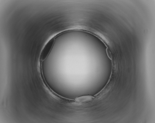 X0000113171468200909040924
