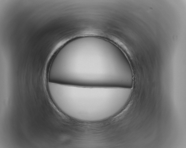 X0000113171469200909040924