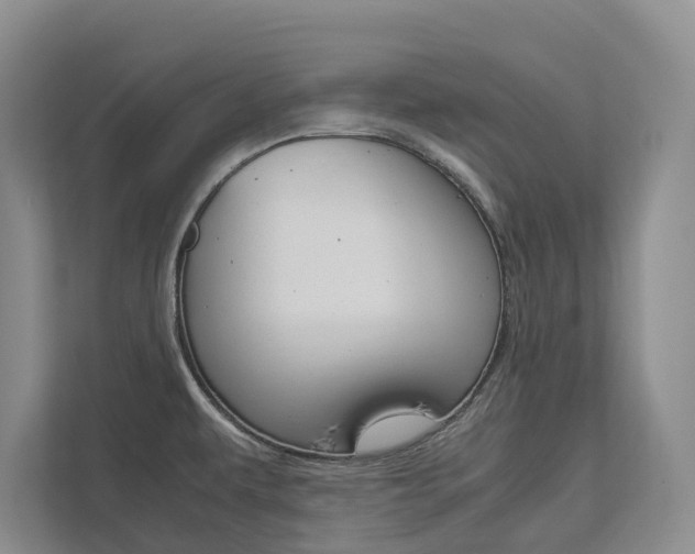 X0000113171479200909040924