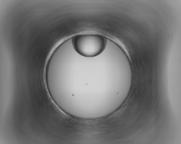 X0000113171480200909040924