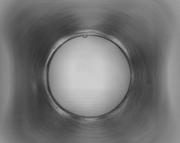X0000113171482200909040924