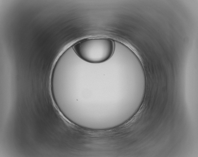 X0000113171485200909040924