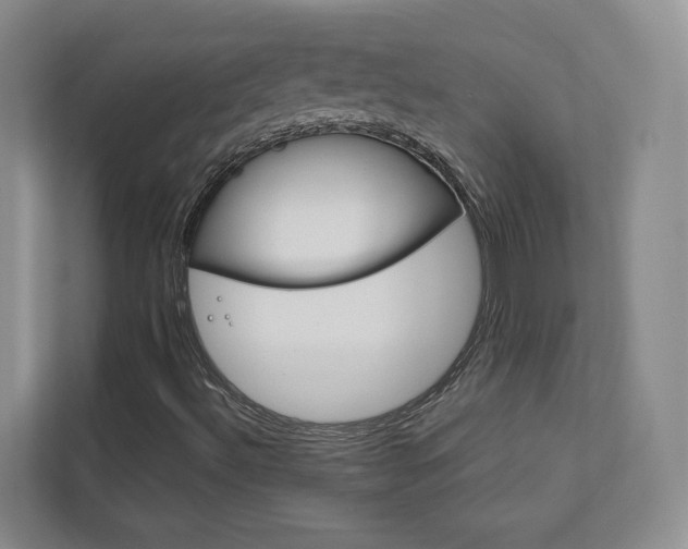 X0000113171492200909040923
