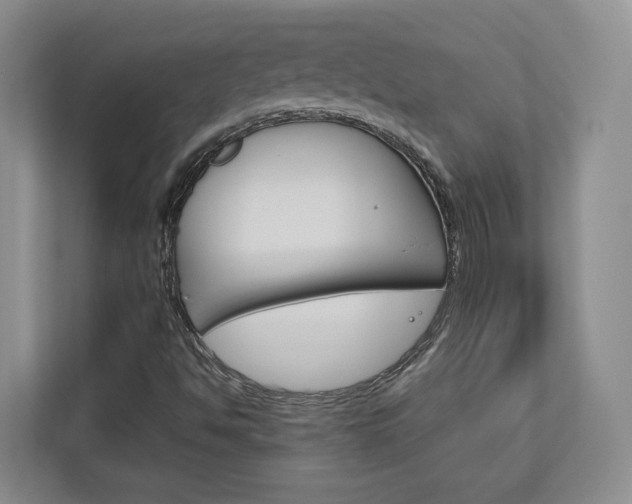 X0000113171494200909040923