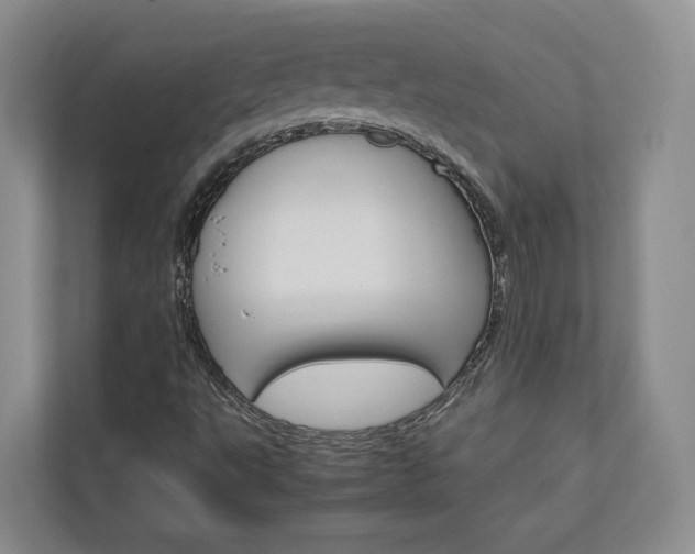 X0000113171495200909040923