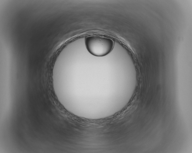 X0000113171496200909040923