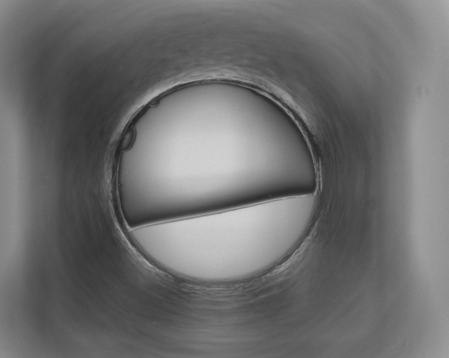 X0000113171500200909040923