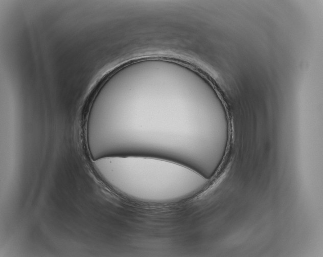 X0000113171501200909040923