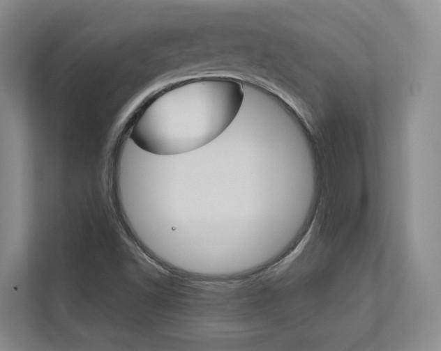 X0000113171502200909040923