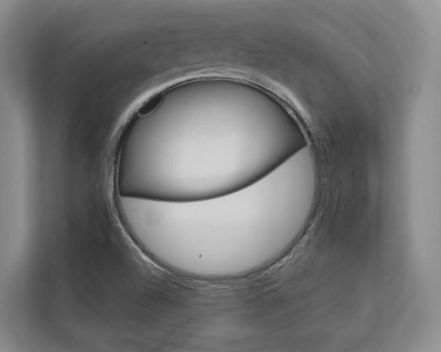 X0000113171504200909040923