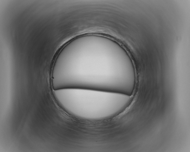 X0000113171505200909040923