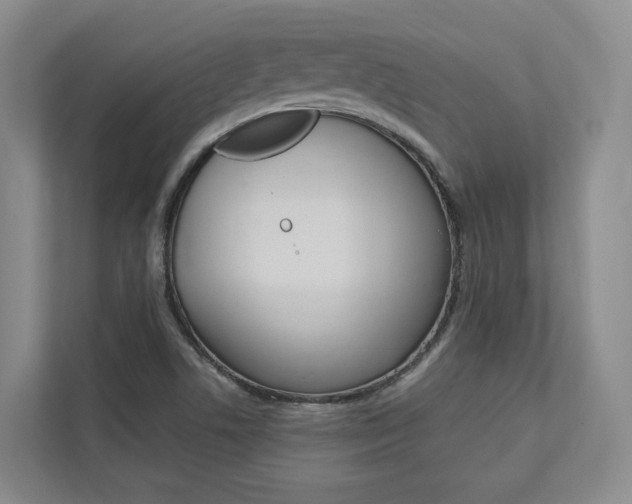 X0000113171506200909040923