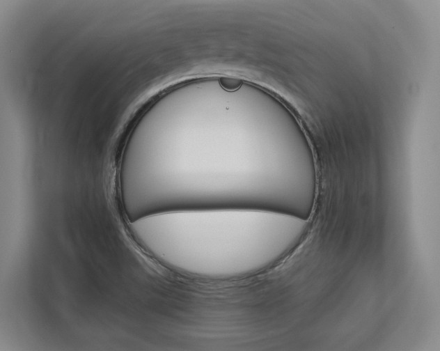 X0000113171507200909040923