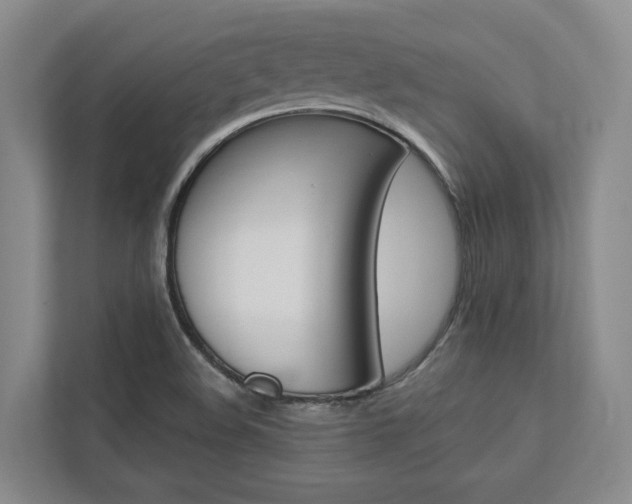X0000113171508200909040923