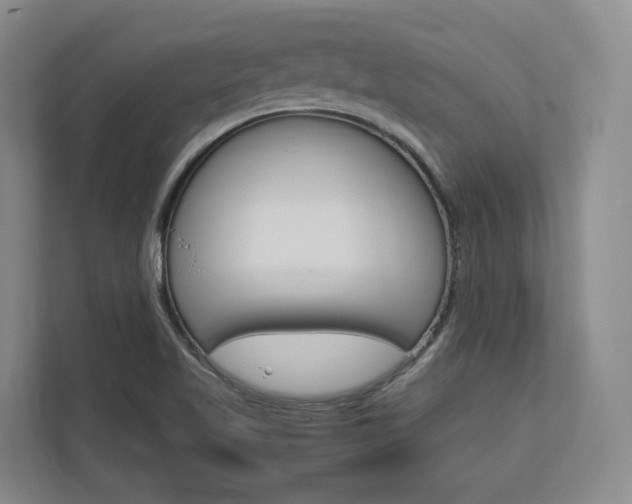 X0000113171509200909040923