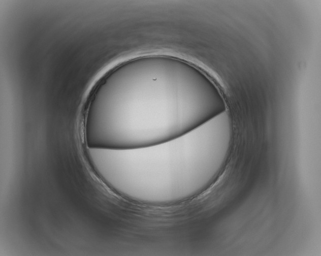 X0000113171510200909040923