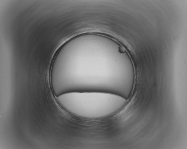 X0000113171513200909040923