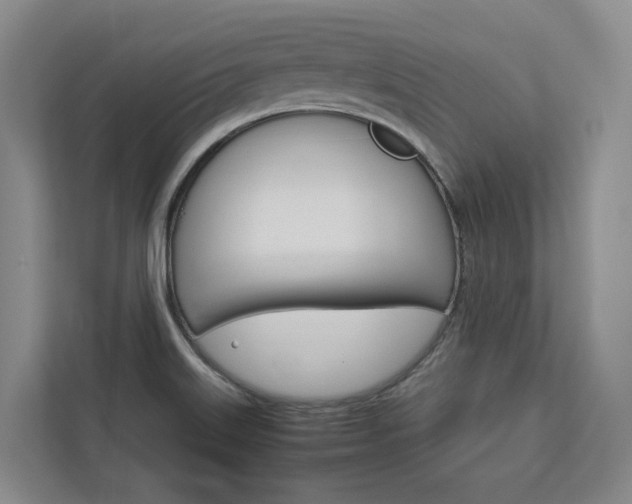 X0000113171515200909040924