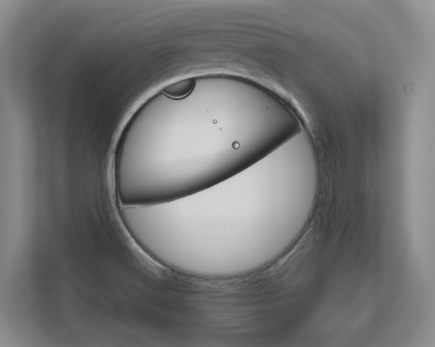 X0000113171516200909040924