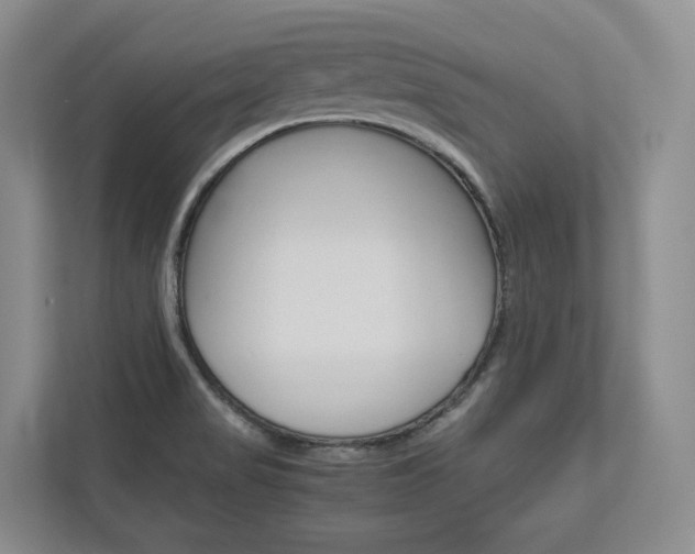 X0000113171517200909040924